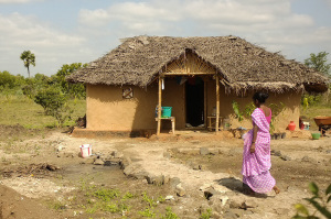 Sirsti Village's land near Kunamangalam village in Tamil Nadu.