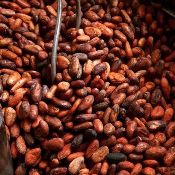 mason cacao roasting