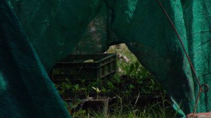 15878016_10208249104568010_1880275028_o