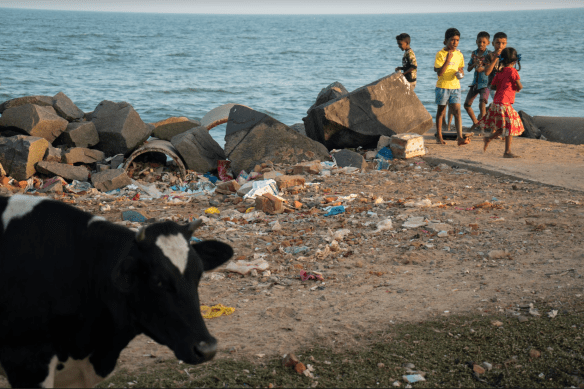 screen shot 2019-01-23 at 11.58.22 pm