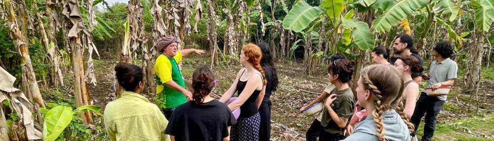 AUP Sustainable Development Practicum in Auroville, India